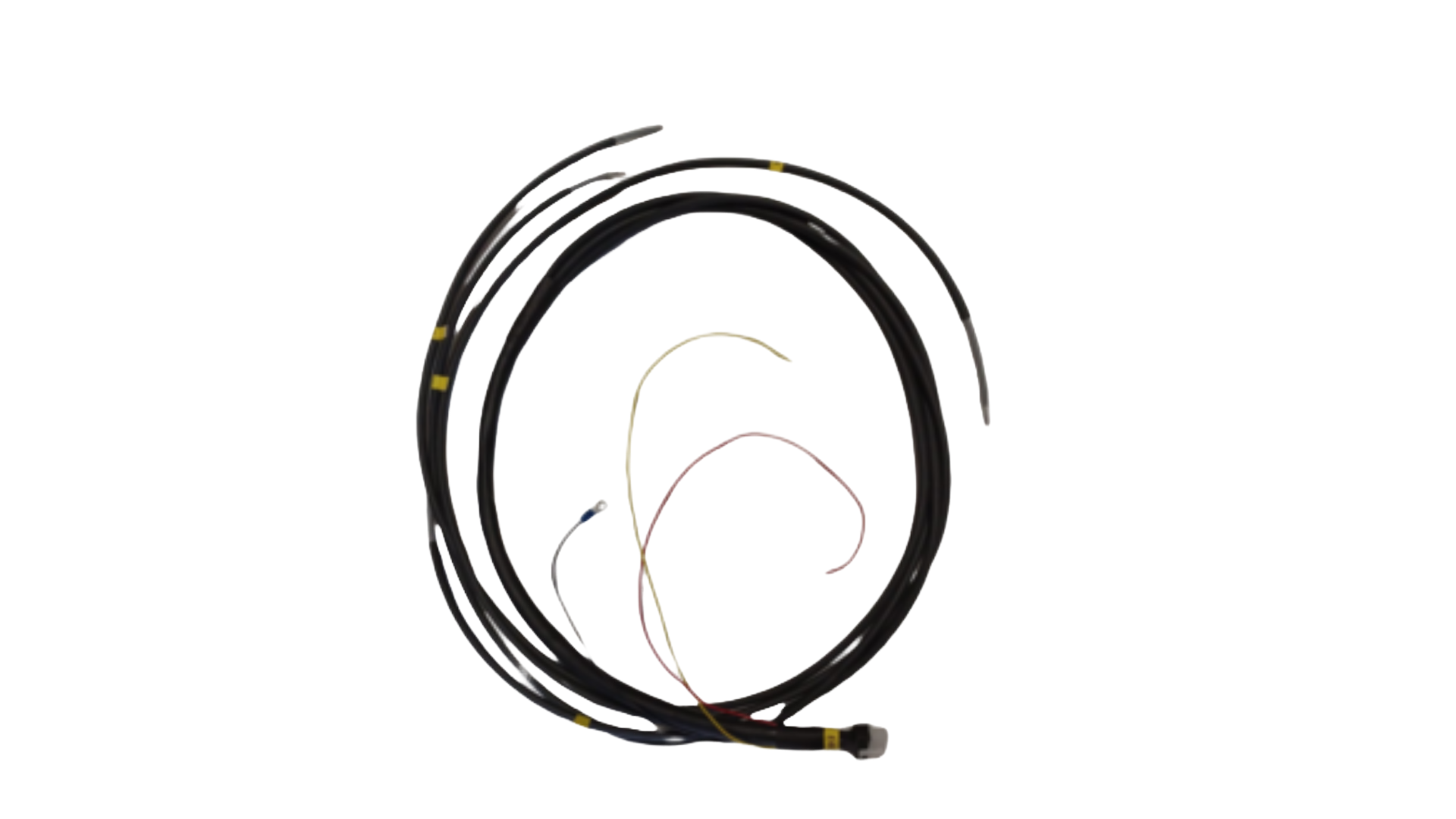 E46 P1 Crank Econo Harness (No Lambda or Air sensor wires)