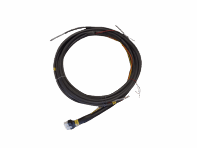 M10_P1 Crank Only Preferred Input Harness