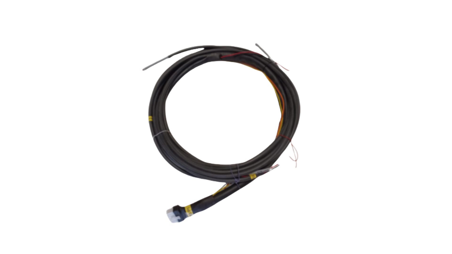 M10_P1 Crank Only Preferred Input Harness
