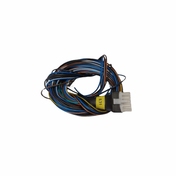 E31 P2 No Relay Econo Output Harness (No Relays or diodes)
